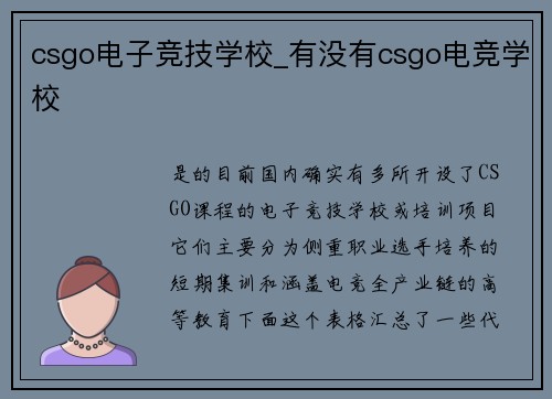 csgo电子竞技学校_有没有csgo电竞学校
